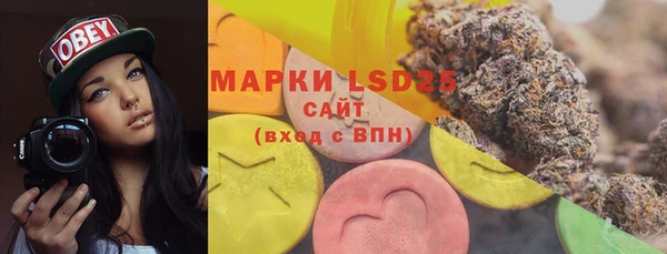 шишки Няндома