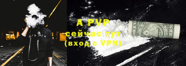 дурь Гусев