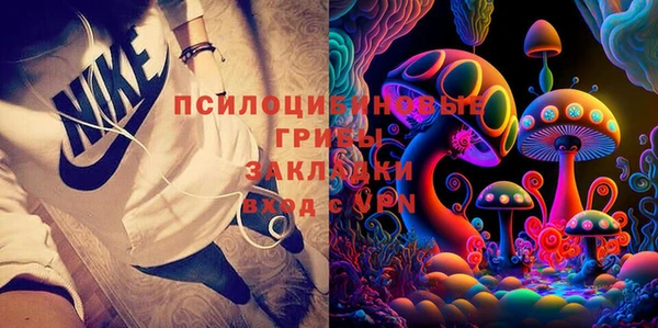 дмт Гусь-Хрустальный