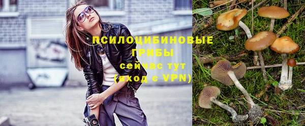 дурь Гусев