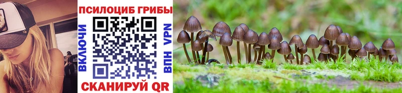 Галлюциногенные грибы Magic Shrooms  Олёкминск 
